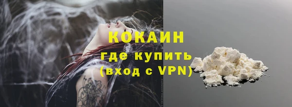 индика Тавда