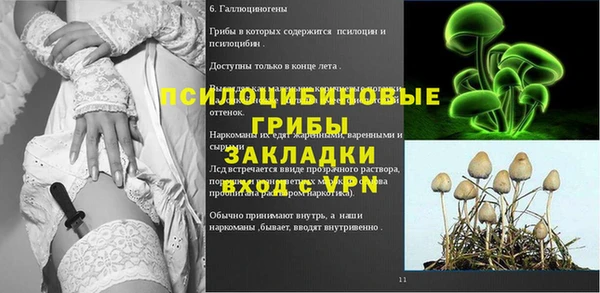 стафф Тихорецк