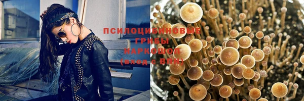 стафф Тихорецк