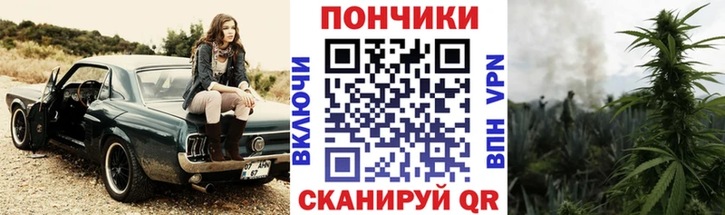 Бошки марихуана марихуана  Купить  Красногорск 